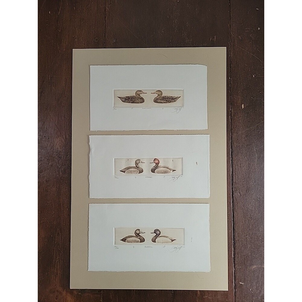 Set- 3 Sandy Scott Signed Numbered Hand Colored Plate Etching Black Duck Redhead